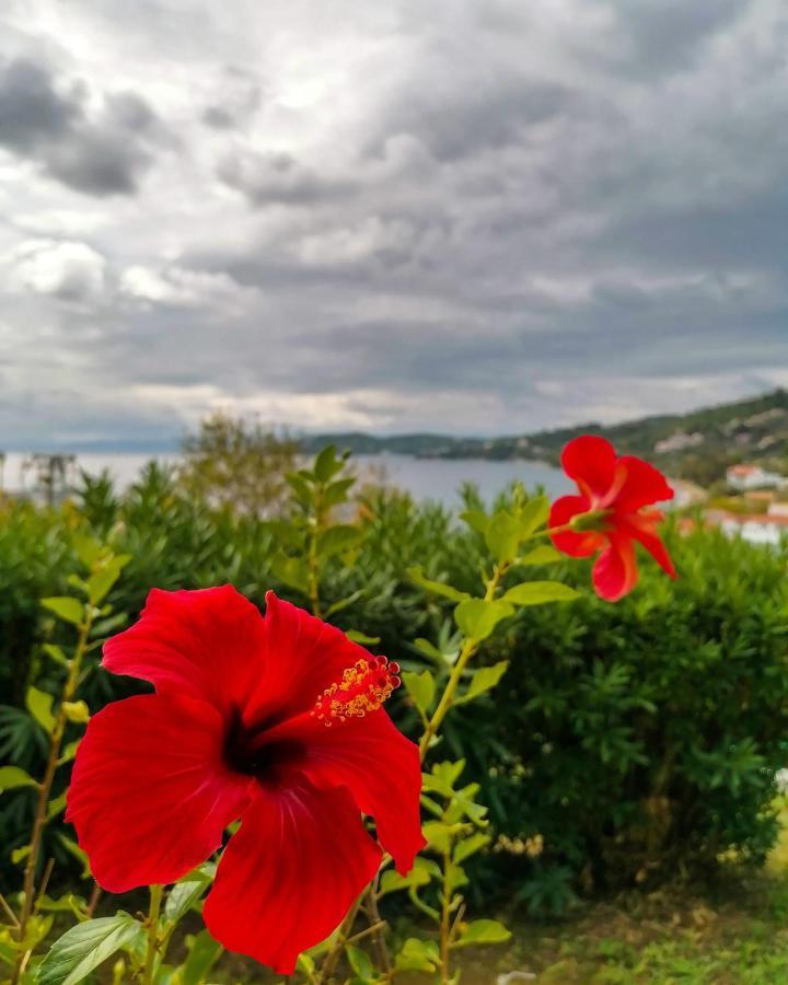 Villa Anna Megali Ammos  Dış mekan fotoğraf