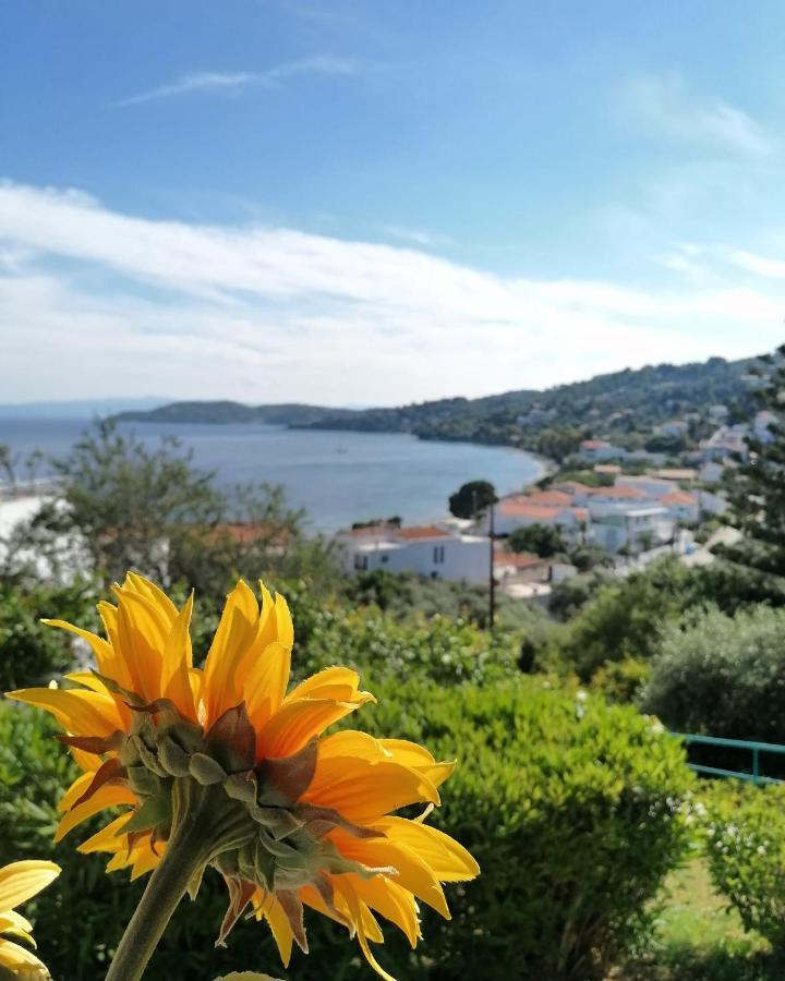 Villa Anna Megali Ammos  Dış mekan fotoğraf